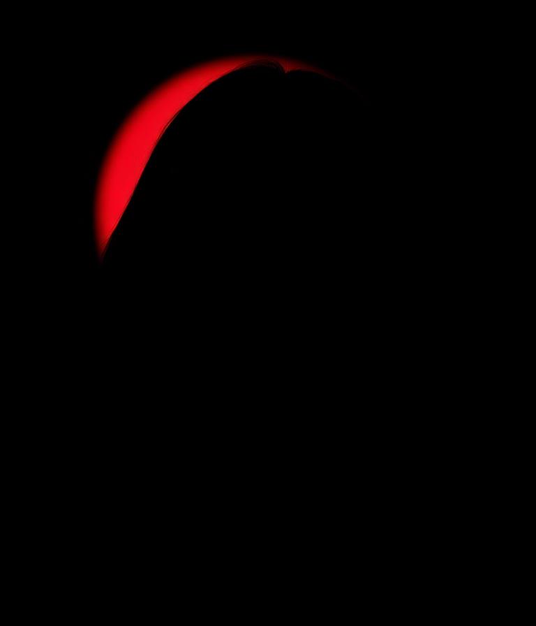 Silhouet van Naomi Rickenbach (35)
